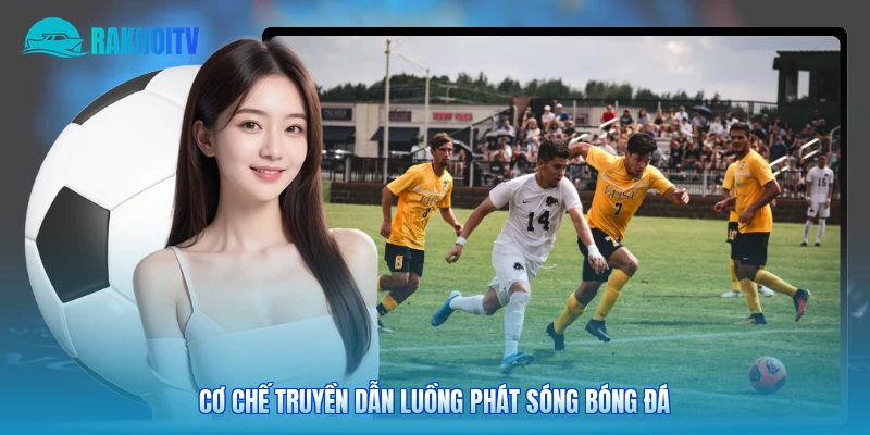 Cơ chế truyền dẫn luồng phát sóng bóng đá