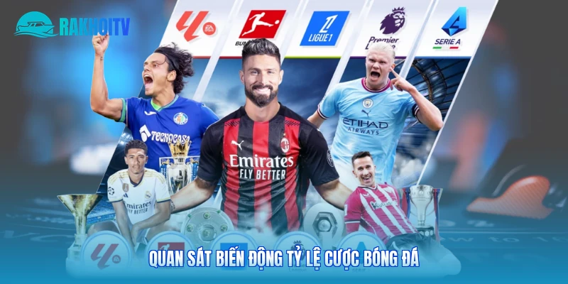 Quan sát biến động tỷ lệ cược bóng đá 